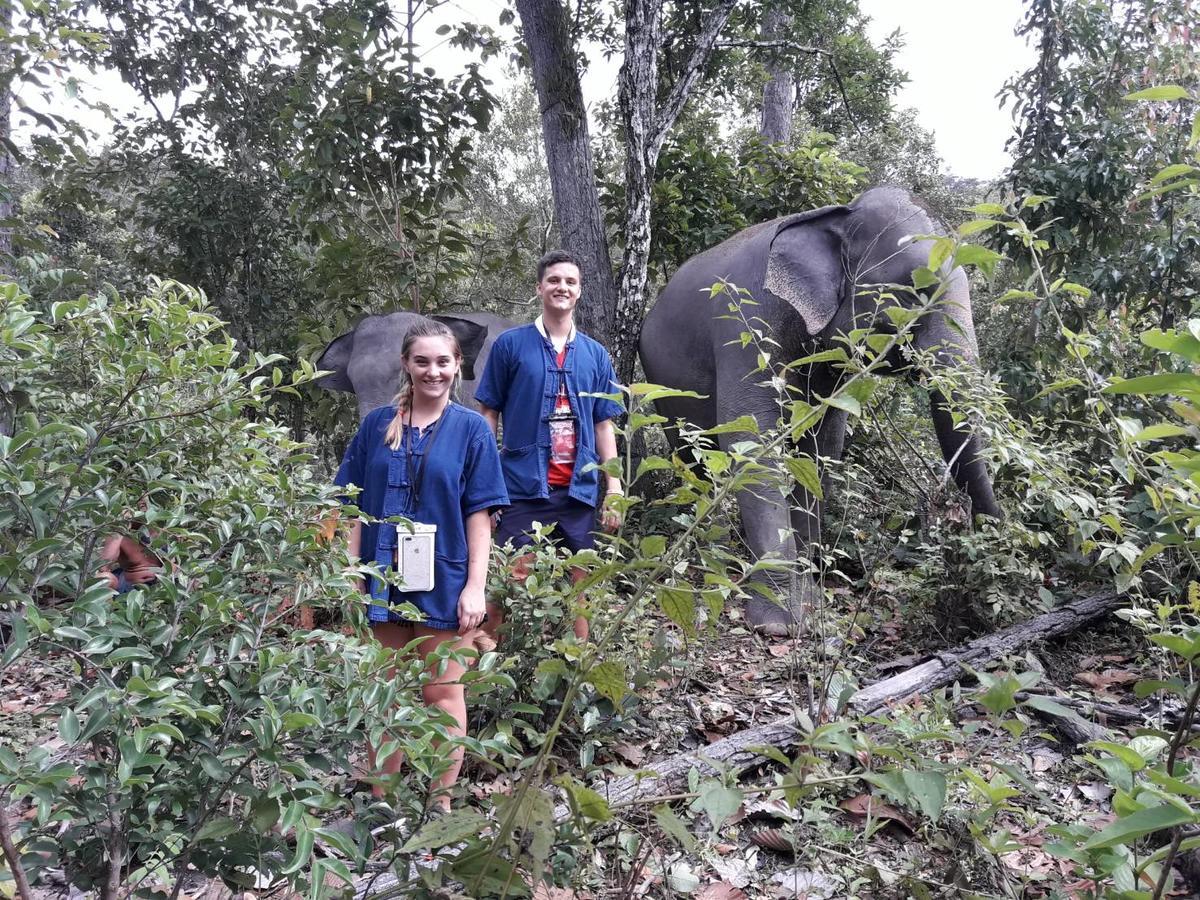 Keta' Jungle Trek House Hostel Chiang Mai Ngoại thất bức ảnh